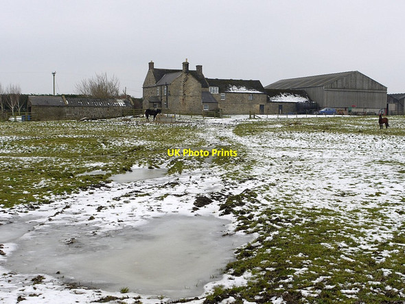 Photo 6"x4" Thornham Hill Farm Fenwick\/NZ0572 c2012