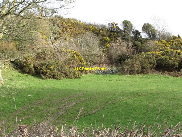Photo 6"x4" Overgrown disused quarry east of the Ballydonnell Road Clough\/J4040 c2012