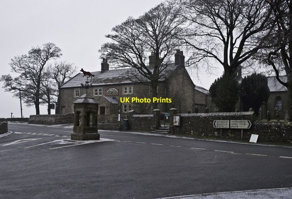 Photo 6"x4" Dog and Partridge at Tosside Tosside c2012