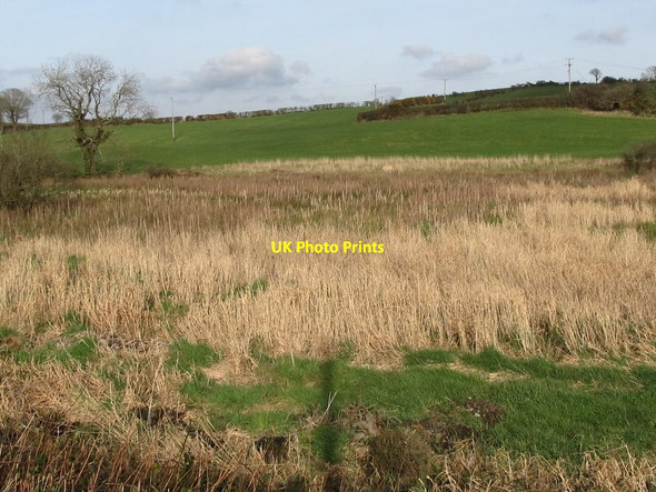 Photo 6"x4" Wetland on the valley floor in the Ballydonnell Road corridor Clough\/J4040 c2012