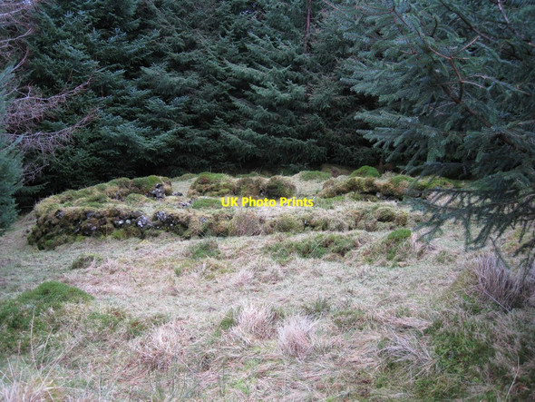 Photo 6"x4" Ruin in Tungadal Forest Glenmore\/NG4340 c2012