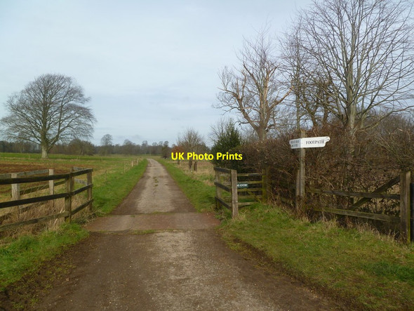 Photo 6"x4" Moor Crichel, signpost New Town\/ST9907 c2012