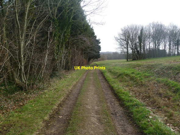 Photo 6"x4" Moor Crichel, footpath New Town\/ST9907 c2012