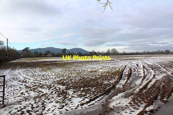 Photo 6"x4" Field in thaw, Hanley Swan Gilbert's End c2012