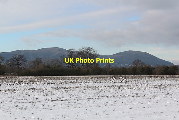 Photo 6"x4" Snow covered field east of Hanley Swan Gilbert's End c2012 P1