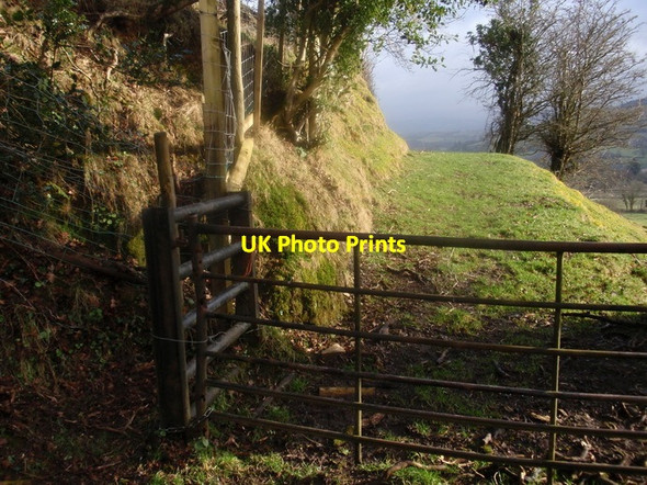 Photo 6"x4" Llwybr troed Cwmcochied footpath, Cwmdu Cwmdu\/SN6330 c2010