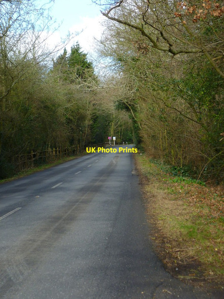 Photo 6"x4" Salthill Road looking north East Ashling c2012