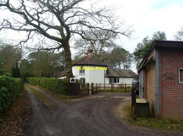 Photo 6"x4" Wareham Forest, Hyde Lodge Cold Harbour\/SY9089 c2012