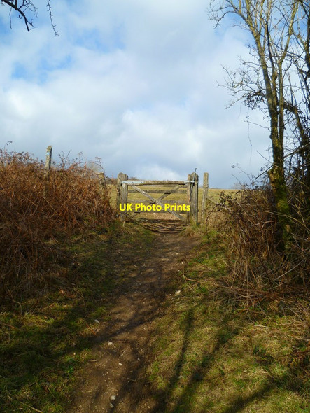 Photo 6"x4" Gate at north end of Ashcombe Bottom Plumpton\/TQ3613 c2012