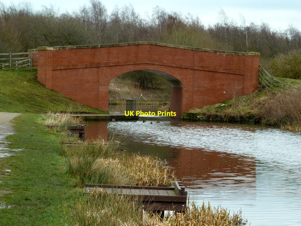 Photo 6"x4" Fishing pegs at Bilby Lane Bridge New Brimington c2012