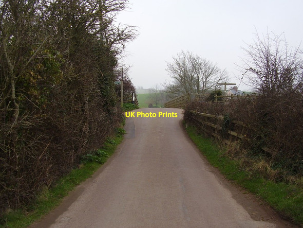 Photo 6"x4" White Bridge , South Farm Road Budleigh Salterton c2012