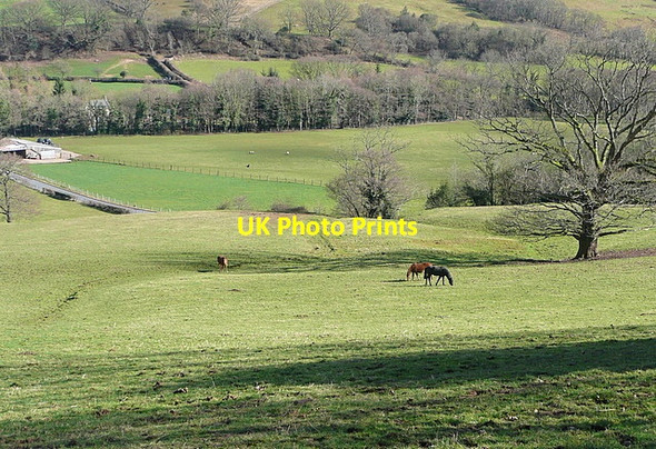 Photo 6"x4" Across the Vale of Ewyas Cwmyoy c2012