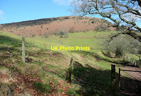 Photo 6"x4" Footpath past Upper Henllan Llanthony c2012