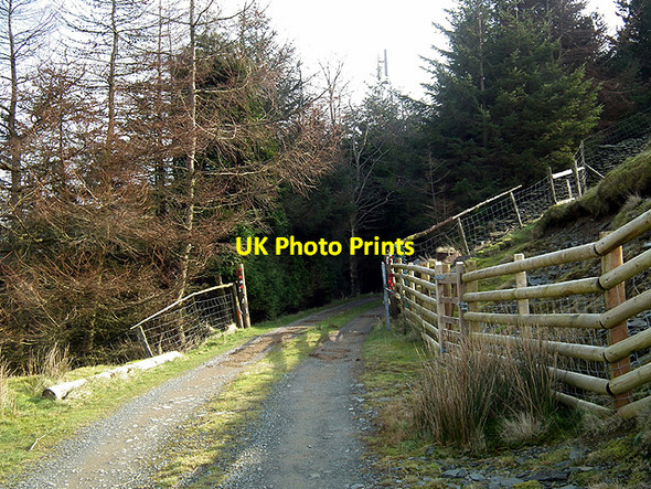 Photo 6"x4" Track to Cefn Fuches farm Ysbyty Cynfyn c2012