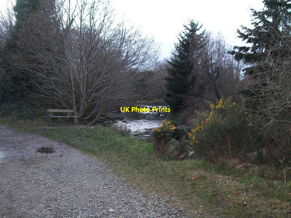 Photo 6"x4" The Shimna River from Tipperary Lane Newcastle\/J3732 c2012