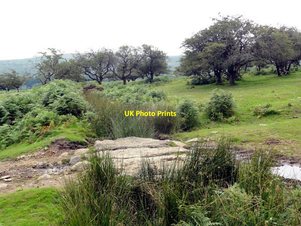 Photo 6"x4" Sandy Way meets Wheal Emma Leat Michelcombe c2011