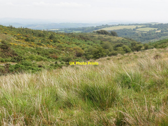 Photo 6"x4" The Valley of the River Mardle Michelcombe c2011