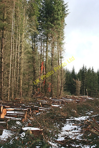 Photo 6"x4" Tree Harvester Glen of Newmill c2007