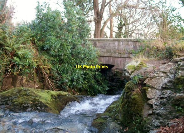 Photo 6"x4" Glen River Newcastle\/J3732 c2011