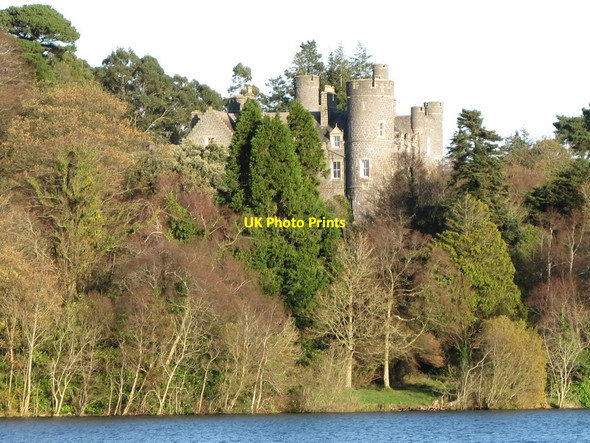 Photo 6"x4" Castlewellan Castle viewed across the lake Castlewellan c2011