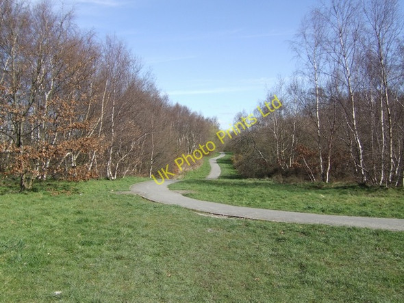 Photo 6"x4" Footpath through 'The Rookery' Telford c2007
