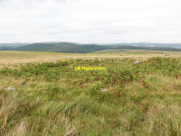 Photo 6"x4" Holne Moor Hexworthy\/SX6572 c2011