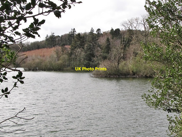 Photo 6"x4" Wooded islands in Castlewellan Lake Castlewellan c2012