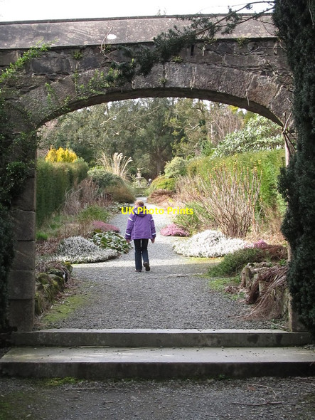 Photo 6"x4" Annesley Garden Castlewellan c2012