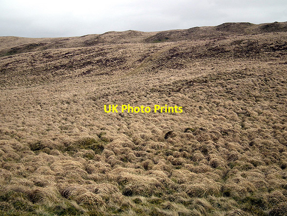 Photo 6"x4" Some of the lesser slopes of Pen Craigypistyll Bont-goch or Elerch c2012