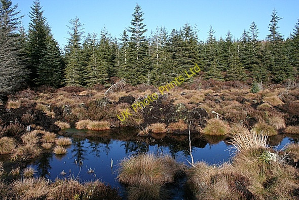 Photo 6"x4" Hunt Hill Rothes c2007