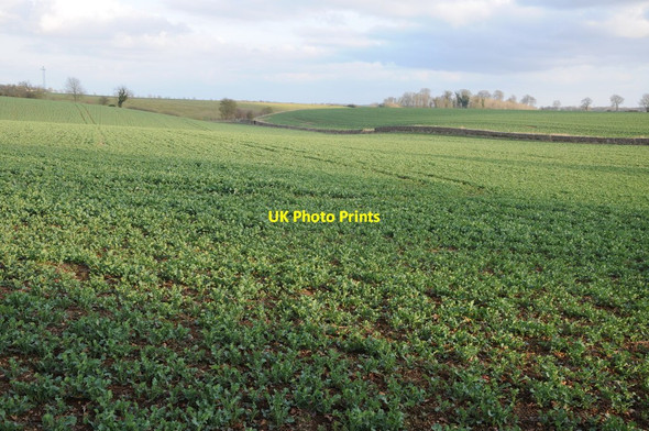 Photo 6"x4" Arable land near Tarlton Tarlton c2012