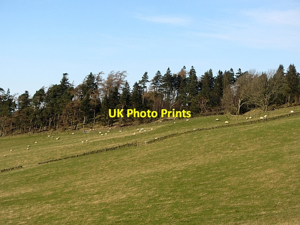Photo 6"x4" Mailingsland Hill Peebles\/NT2540 c2012