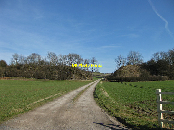Photo 6"x4" Railway embankment near Bellmanear Farm North Grimston c2012