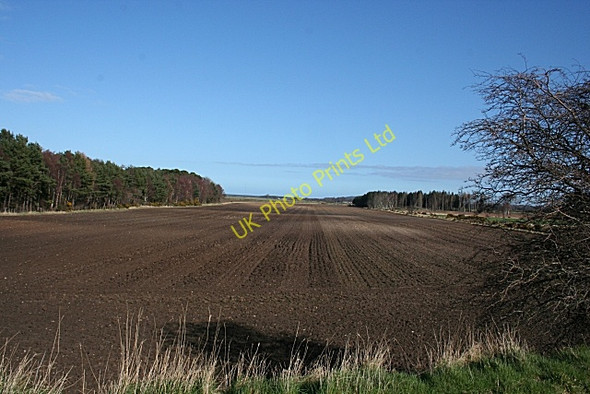 Photo 6"x4" Ploughed Field Elgin c2007