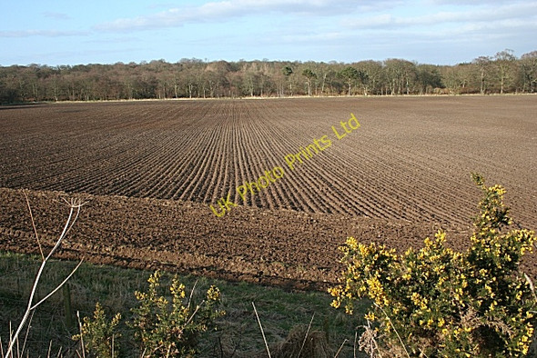 Photo 6"x4" Ploughed field Kirktown of Alvah c2007
