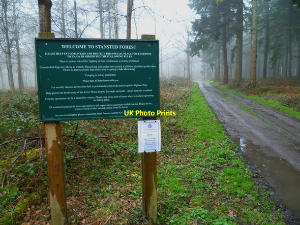 Photo 6"x4" Footpath going west into Stansted Forest Forestside c2012