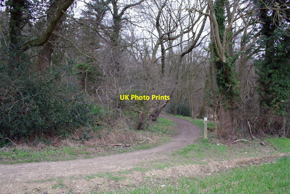Photo 6"x4" Footpath to Little Heath School Little Heath\/SU6573 c2012