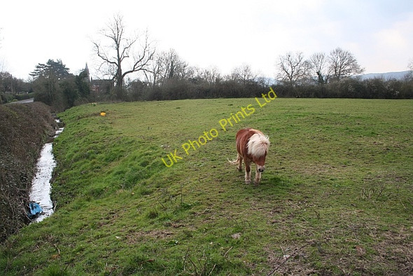 Photo 6"x4" Landfill, Welland Marl Bank c2007