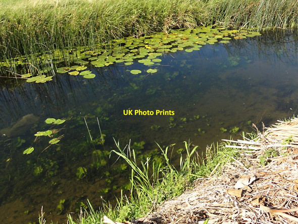 Photo 6"x4" Looking into the Counter Drain Tongue End c2011