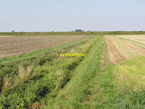 Photo 6"x4" Fen Farmland North of South Fen Road Tongue End c2011