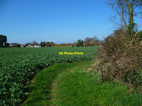 Photo 6"x4" Corner of footpath near Murrayfield House Norton\/SU9206 c2012
