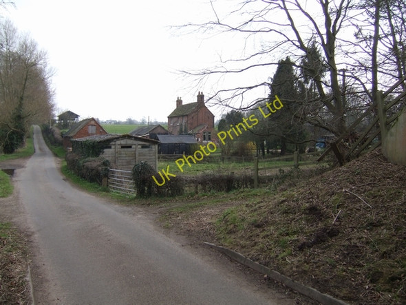 Photo 6"x4" Millfield Farm Albrighton\/SJ8104 c2007