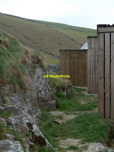 Photo 6"x4" Footpath past Dam Dale Farm Old Dam c2012