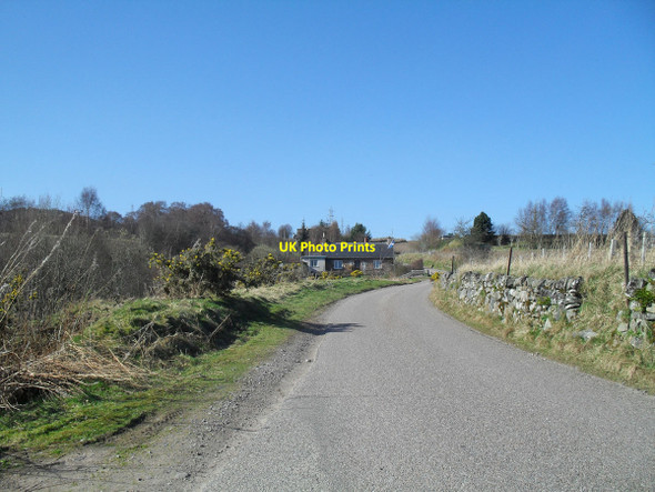 Photo 6"x4" Flying the flag - proud to be Scottish Alness c2012