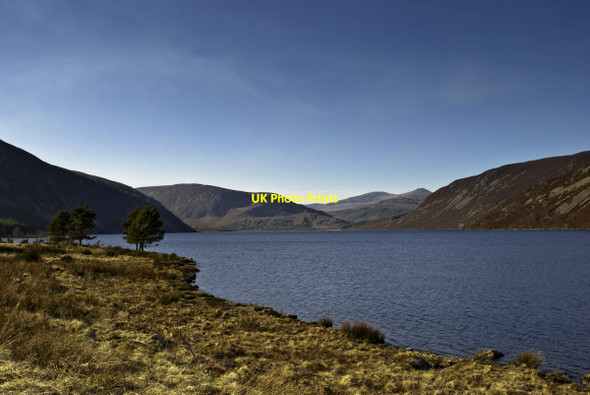 Photo 6"x4" Trees on the shore of Loch Morie Creag an Fhithich\/NH5475 c2012