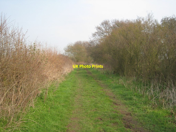 Photo 6"x4" Trent Valley Way Rolleston\/SK7452 c2012