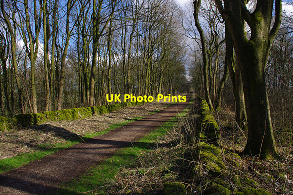 Photo 6"x4" High Peak Trail, Minninglow Pikehall c2012