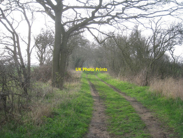 Photo 6"x4" Trent Valley Way Rolleston\/SK7452 c2012