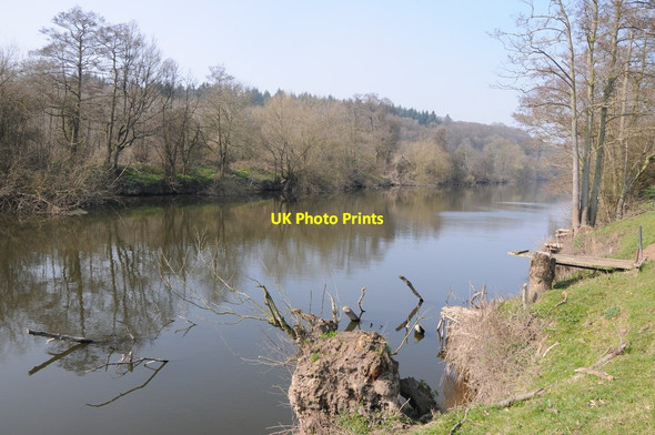 Photo 6"x4" River Severn near Shrawley Boreley c2012