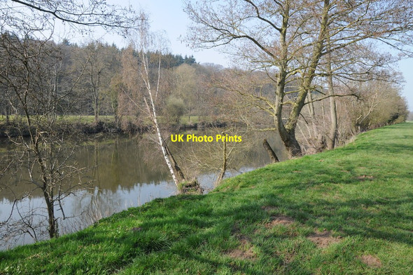 Photo 6"x4" River Severn near Shrawley Boreley c2012 P1